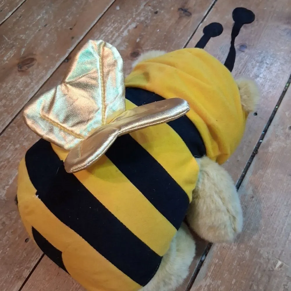 Cute Bumblebee/butterfly costume dress‎ (8-10) with butterfly headband & bear